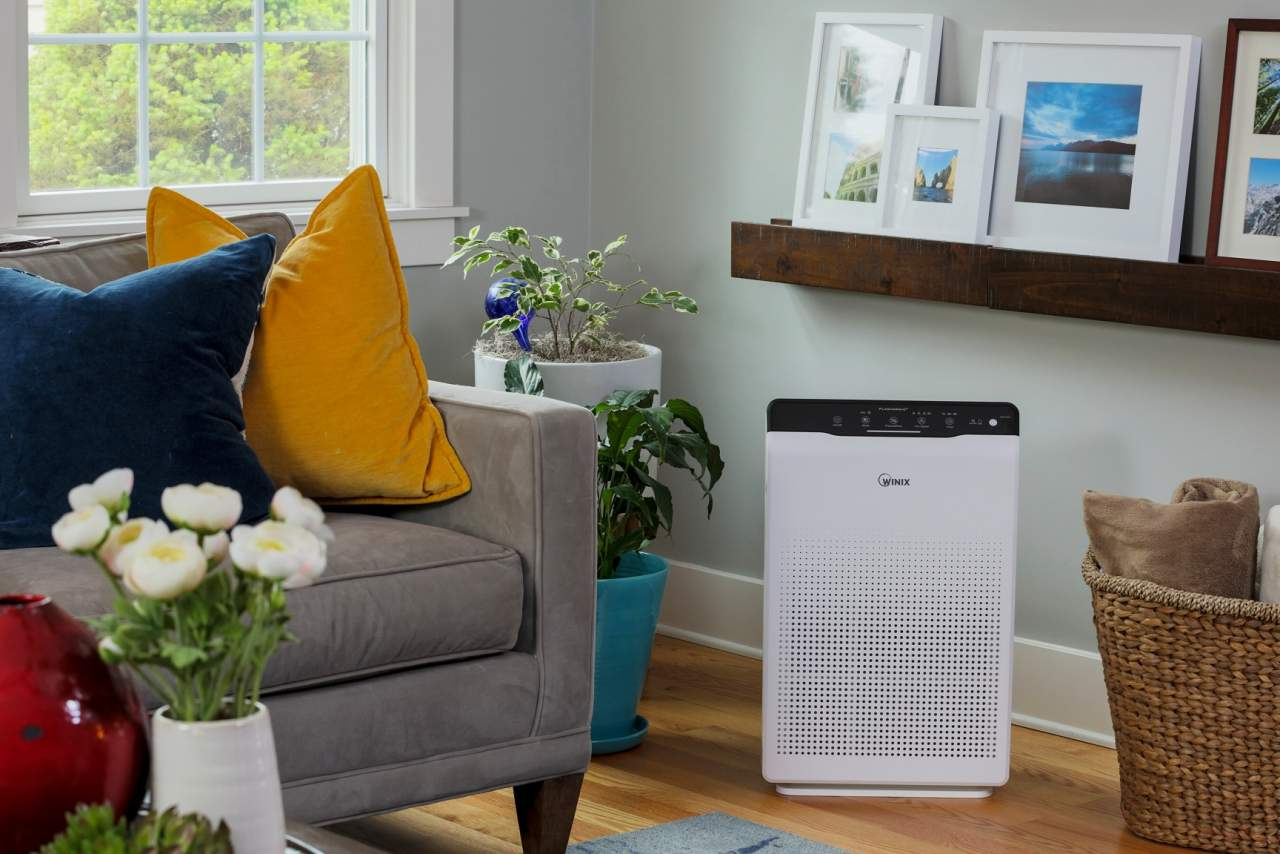 El purificador Winix de Protect Soiart Distribución