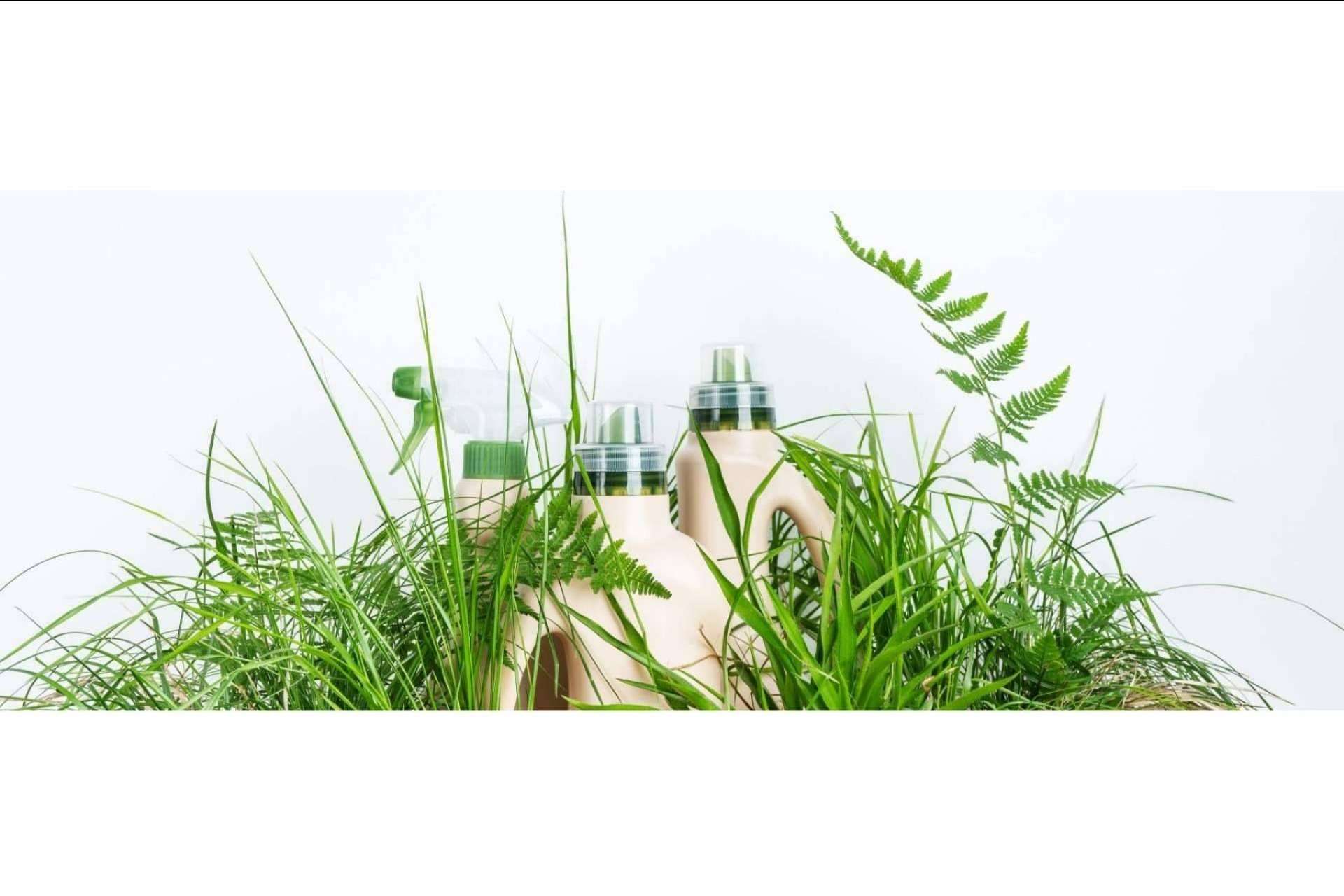 Abrir una franquicia con Ecocleans