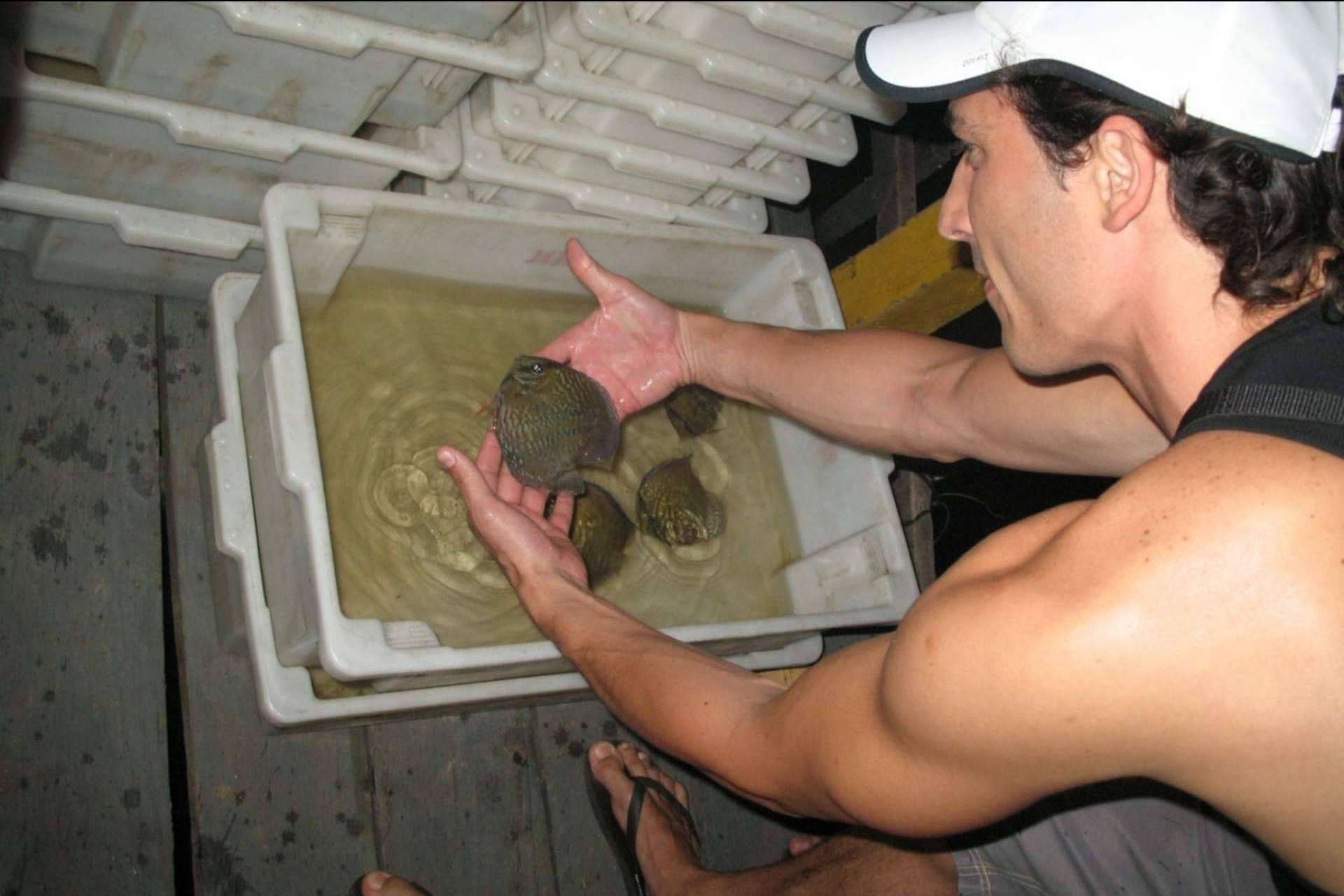 ¿Cómo evitar la muerte de miles de millones de peces?