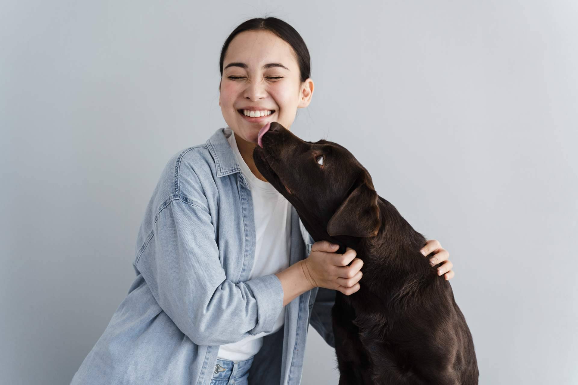 ¿Qué implica regalar una mascota?