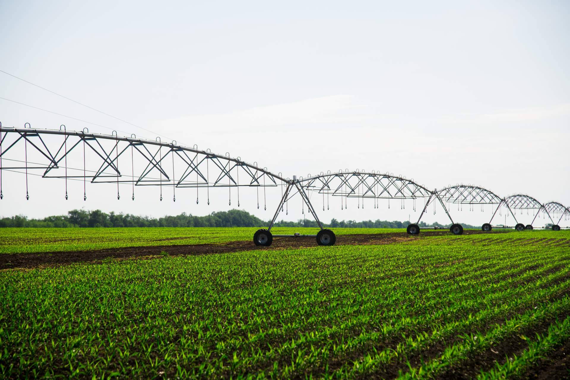 ¿Qué recomendaciones existen para ahorrar en una explotación agrícola?, por Agbar