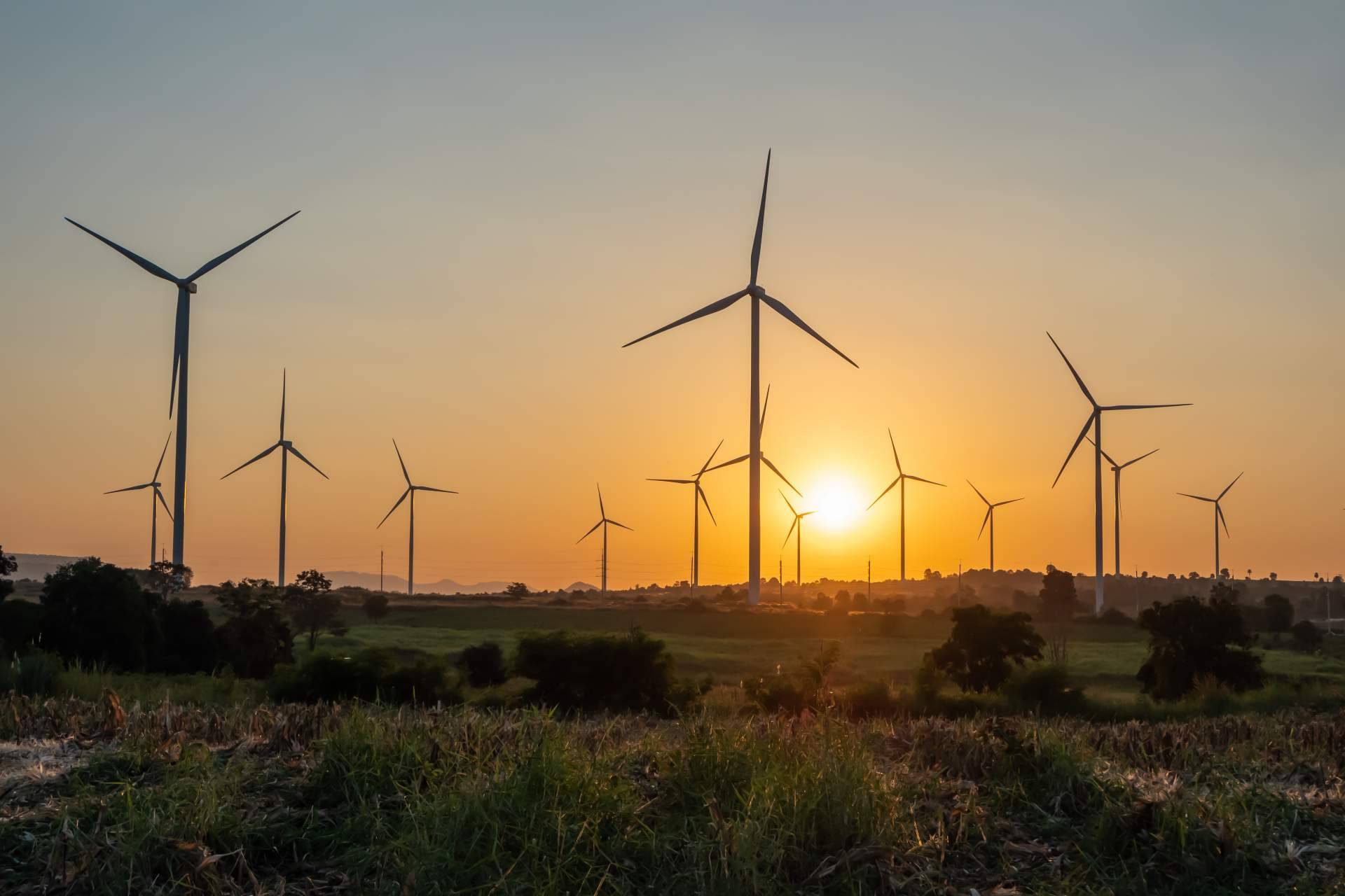 Curso de actualidad, finanzas y control de gestión empresas de energías renovables de la mano de MCP Formación