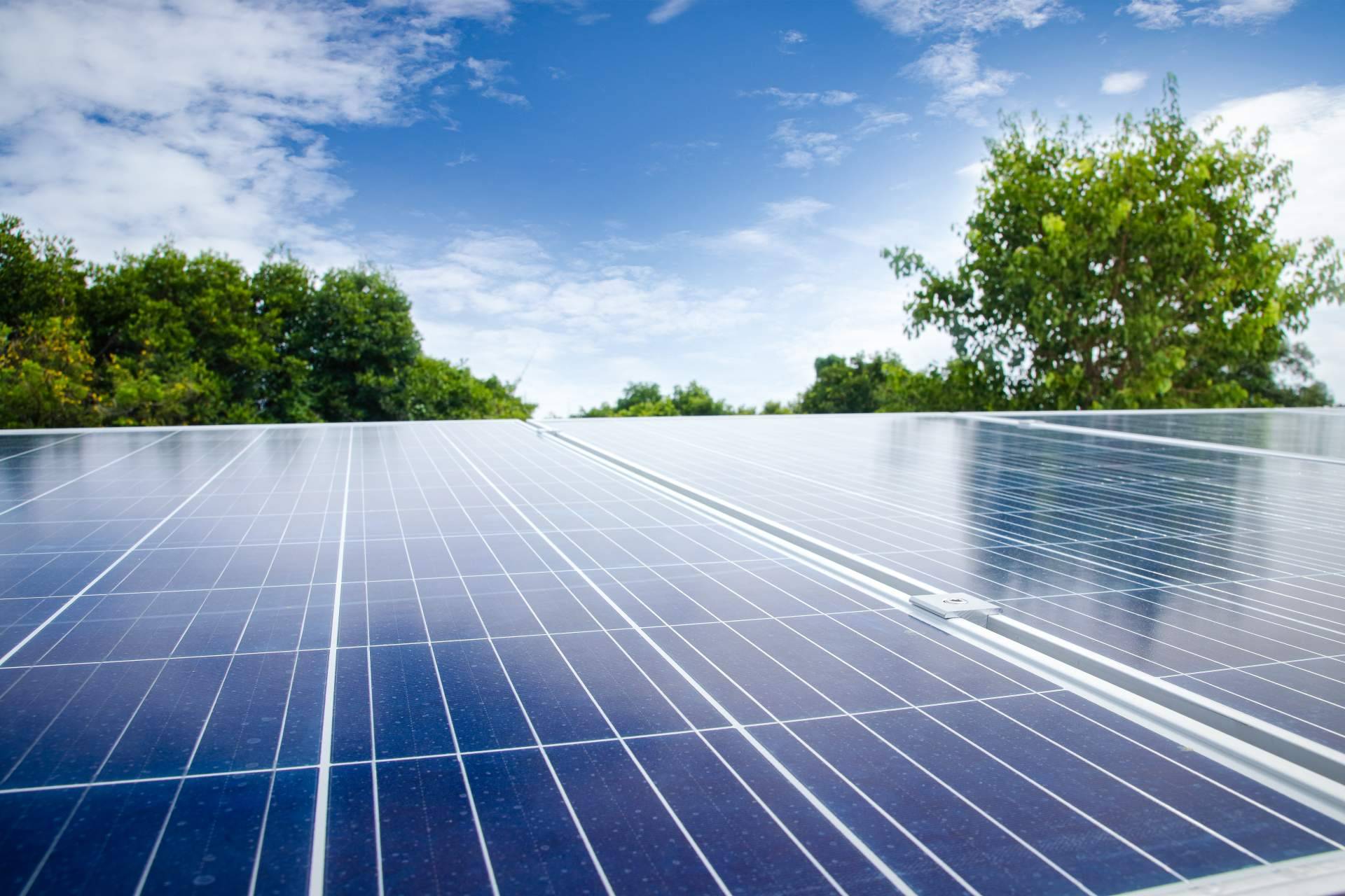 Las ventajas de instalar placas solares en el hogar o negocio, por CAVS Energy