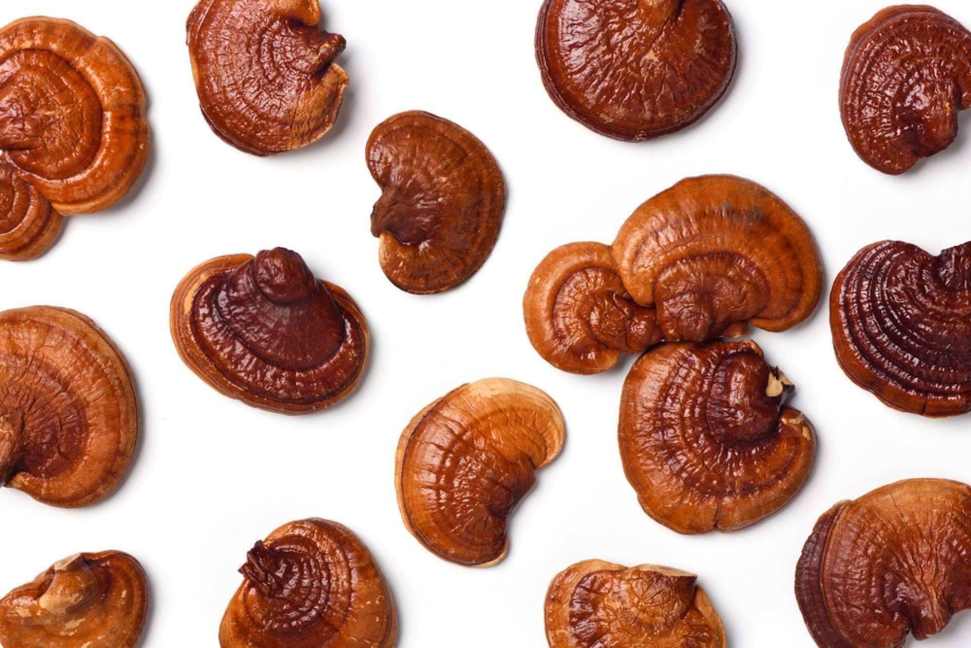 La Tienda De Cristóbal y la combinación de café con ganoderma