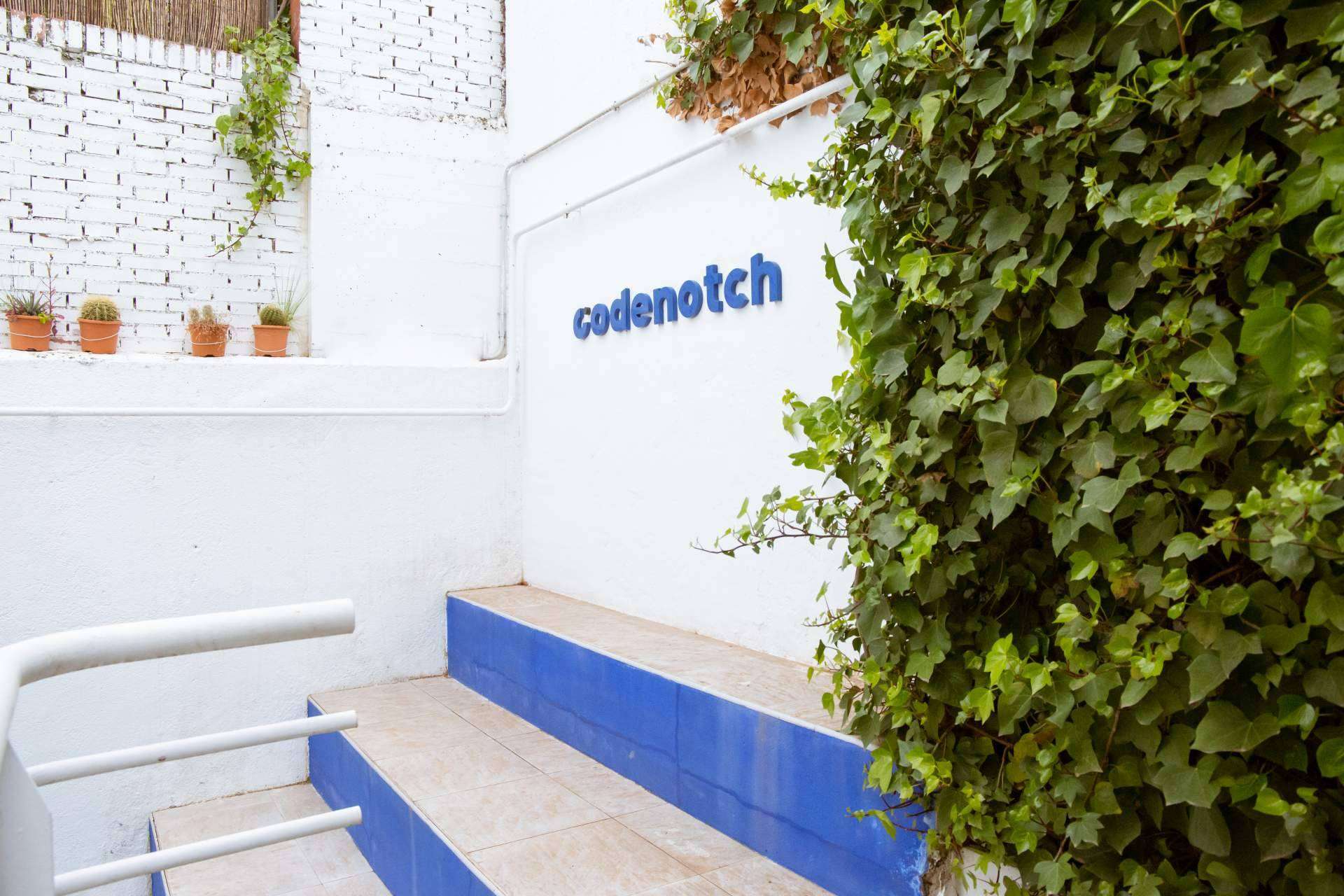 Codenotch brinda cursos intensivos de programación