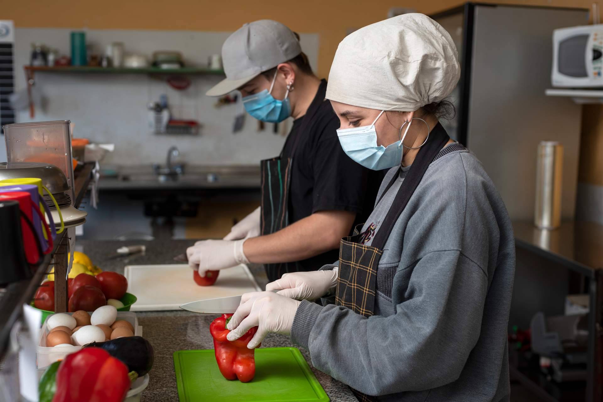 Damito - Tecnas y la oportunidad de realizar de forma gratuita el curso de manipulador de alimentos
