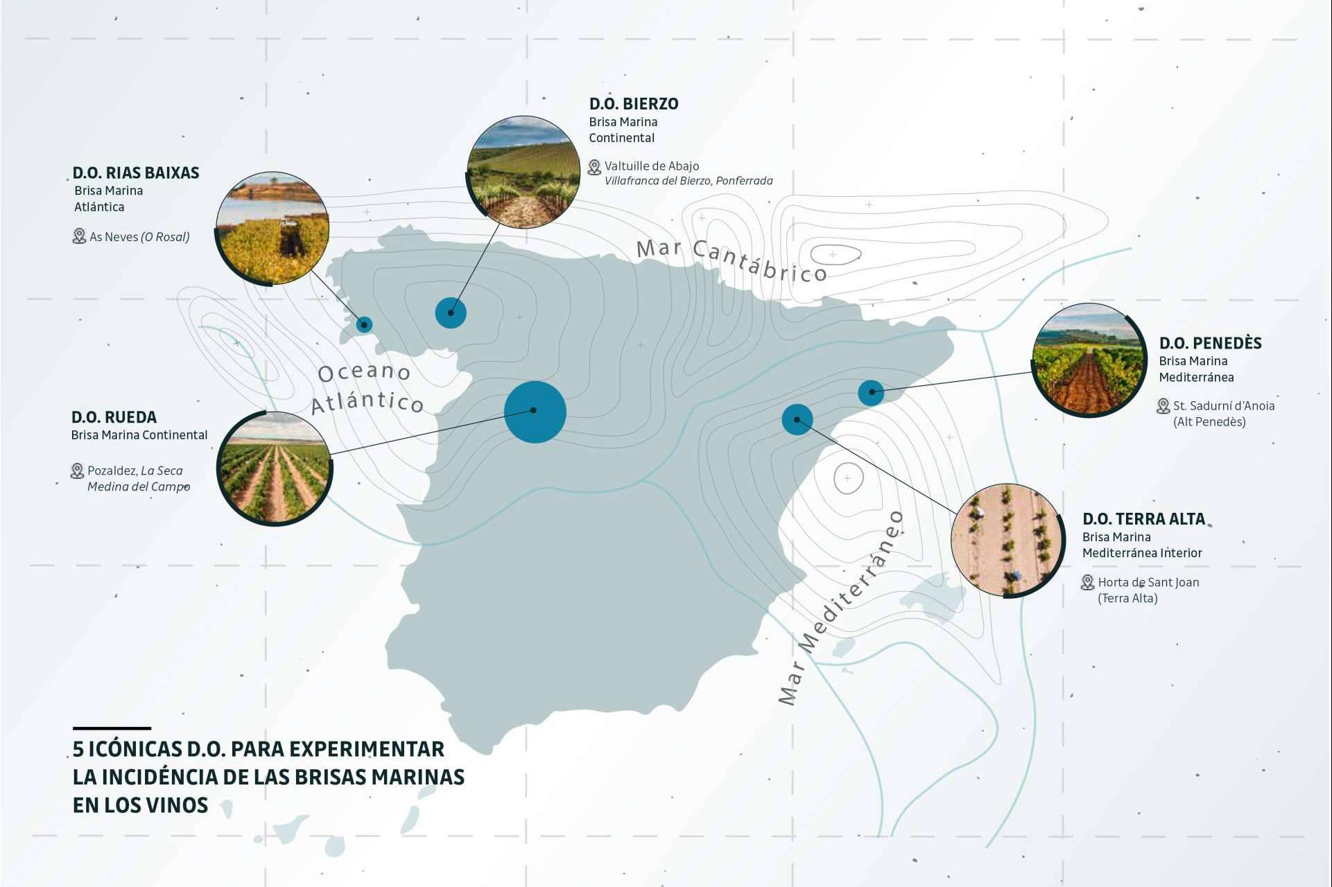 La colección de vinos BRISA MARINA de Naturelovers Wines