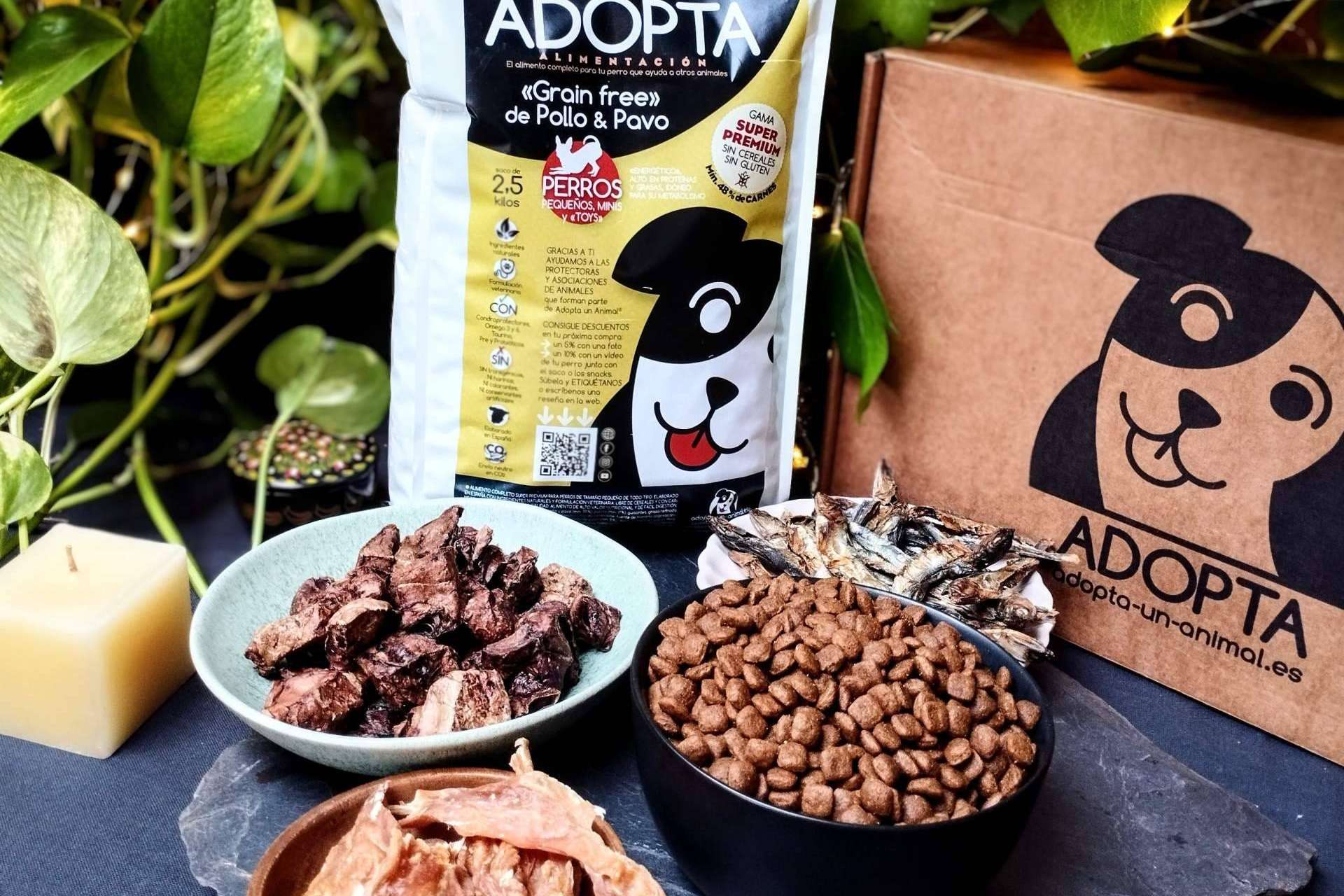 ¿Cuáles son las ventajas del pienso sin cereales?, con Adopta un Animal