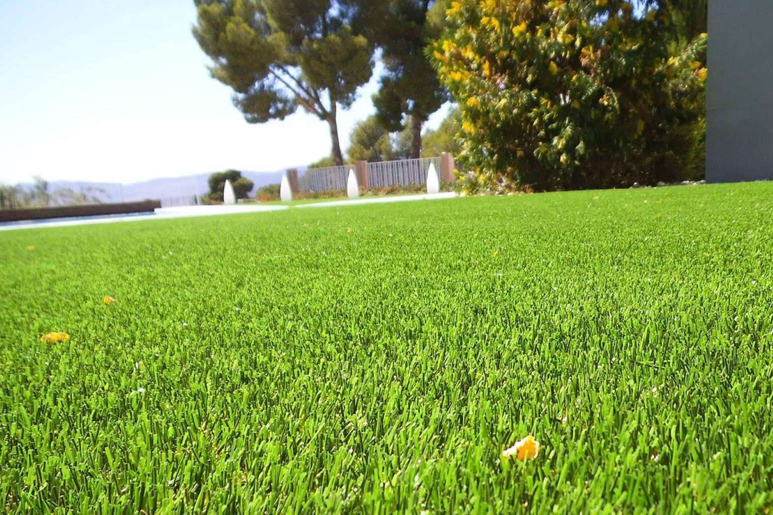 Los servicios de Albergrass, fabricante español de césped artificial
