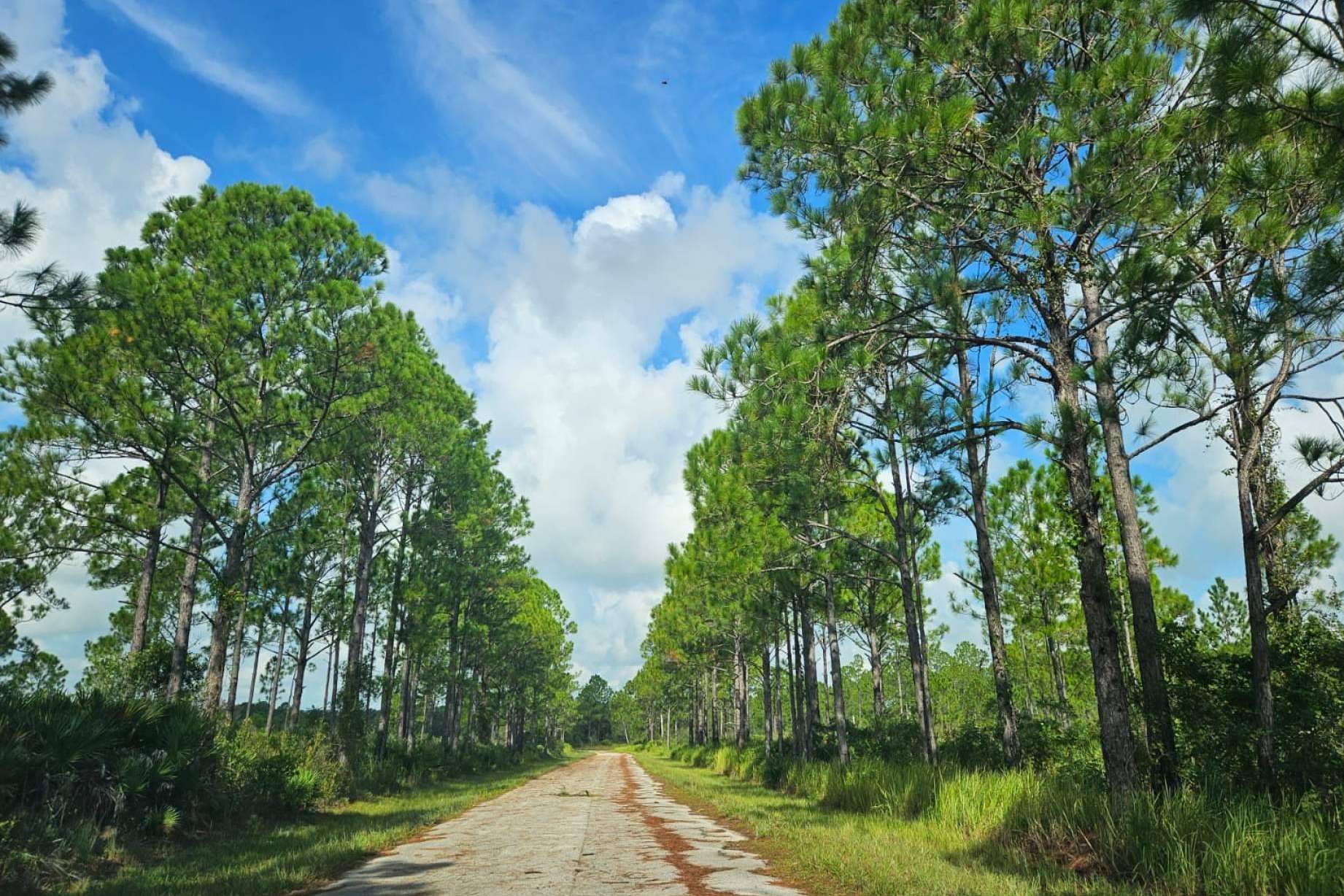 Aumenta el interés de invertir en Florida, según Vista Imark