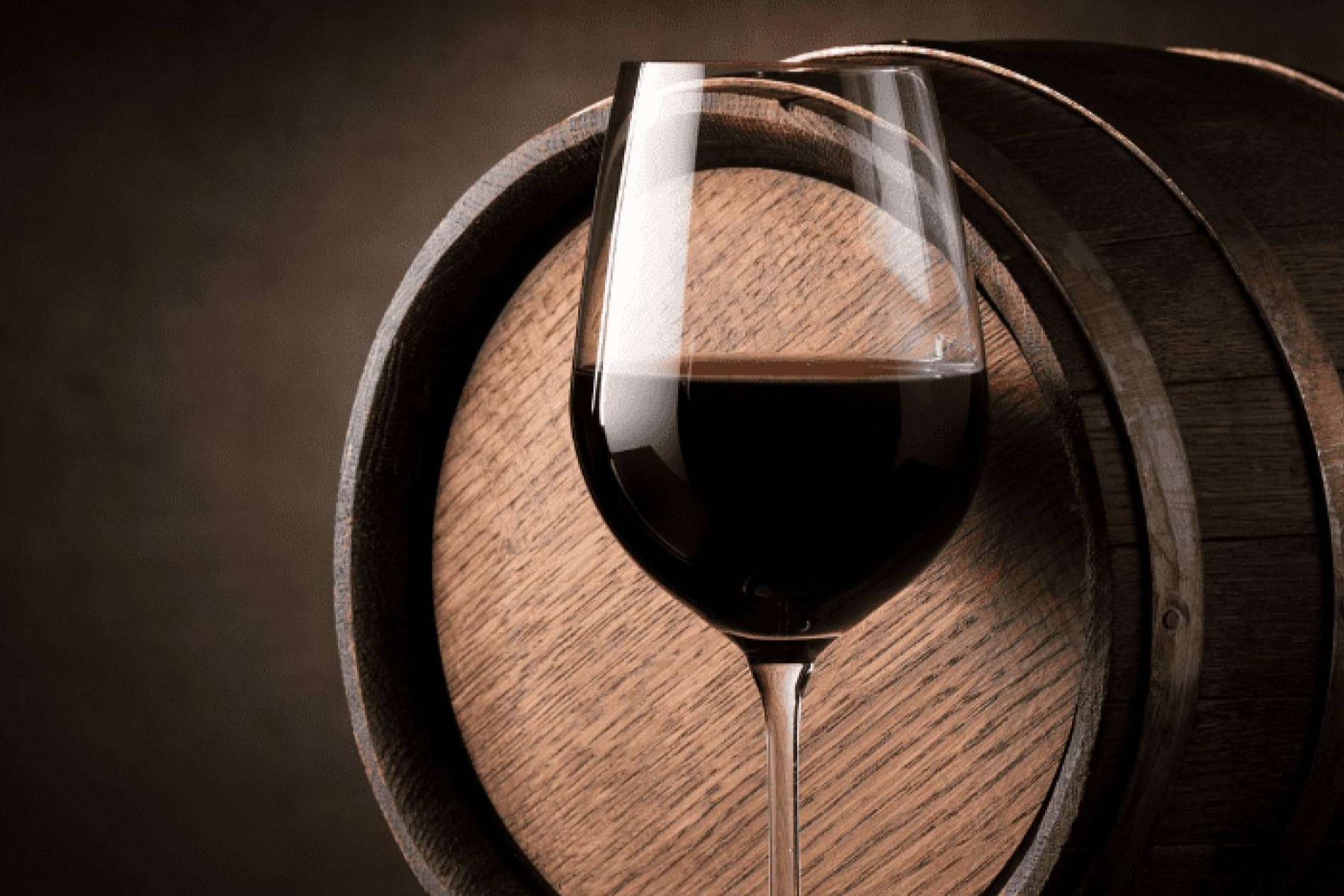 Las bodegas, donde nace el vino
