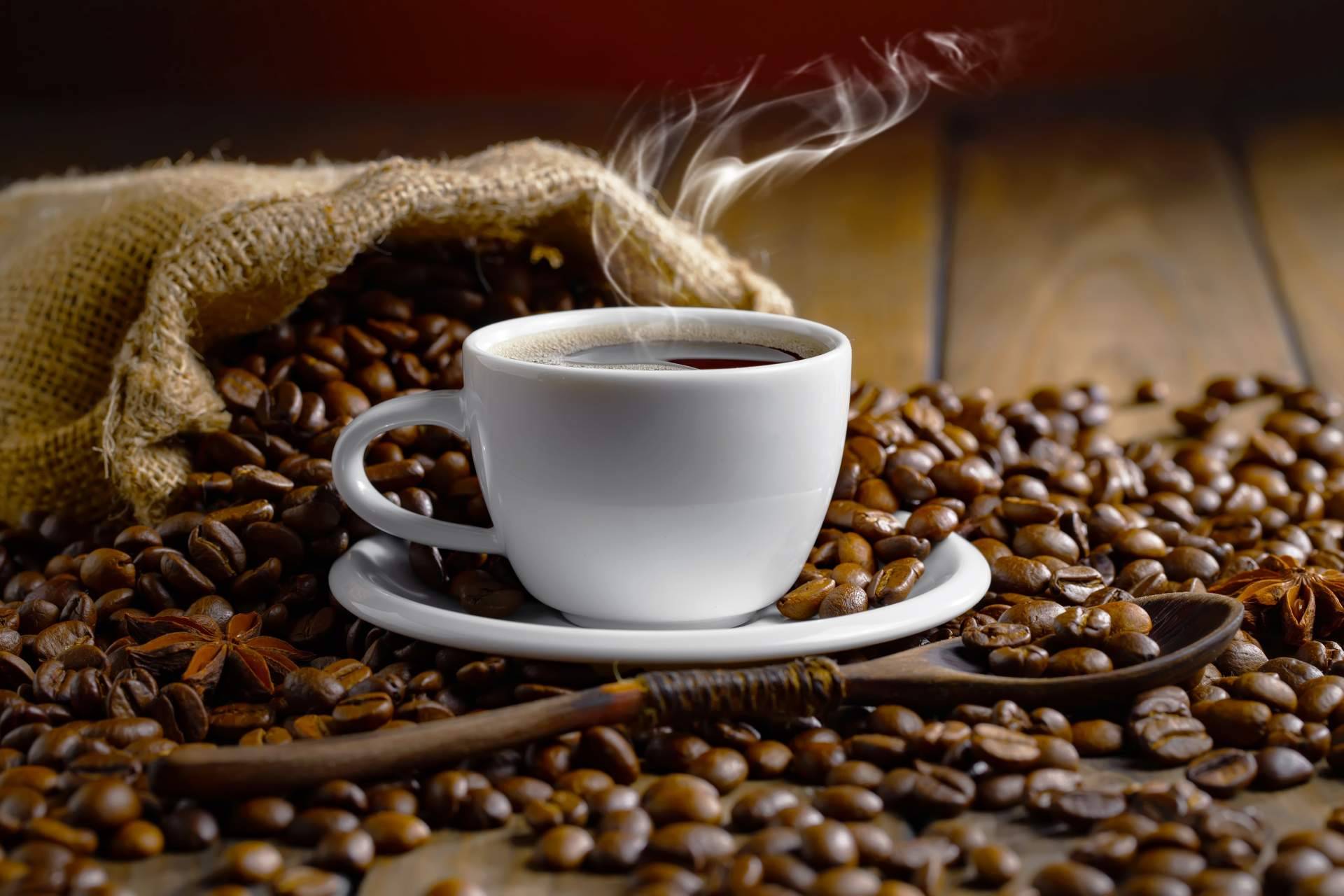 Café arábica de gran calidad de la mano de Cafés Foronda