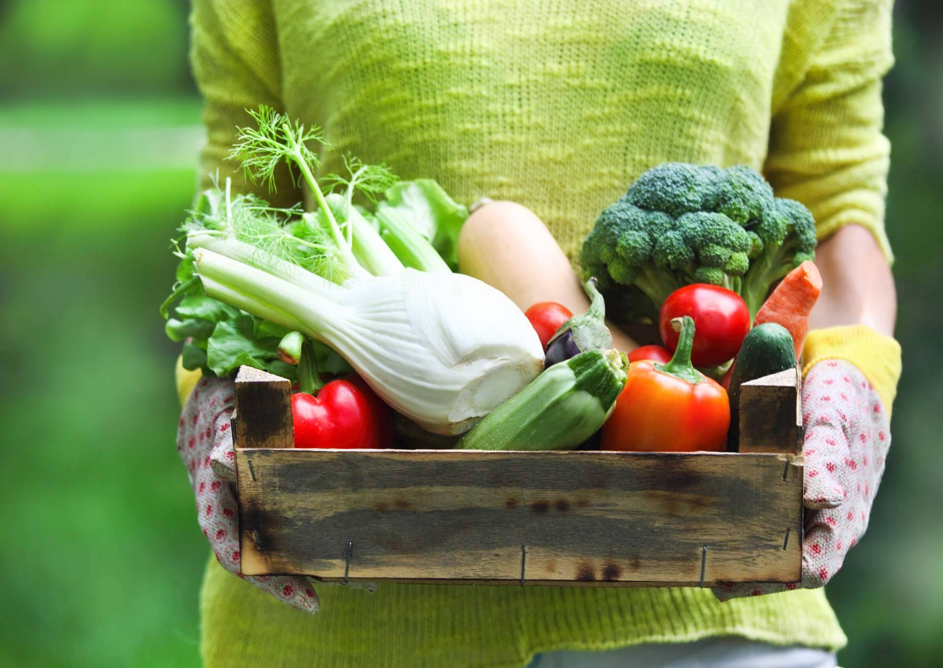 Horta de l'Eixample, una plataforma para la compra de fruta online que trabaja con certificación ecológica