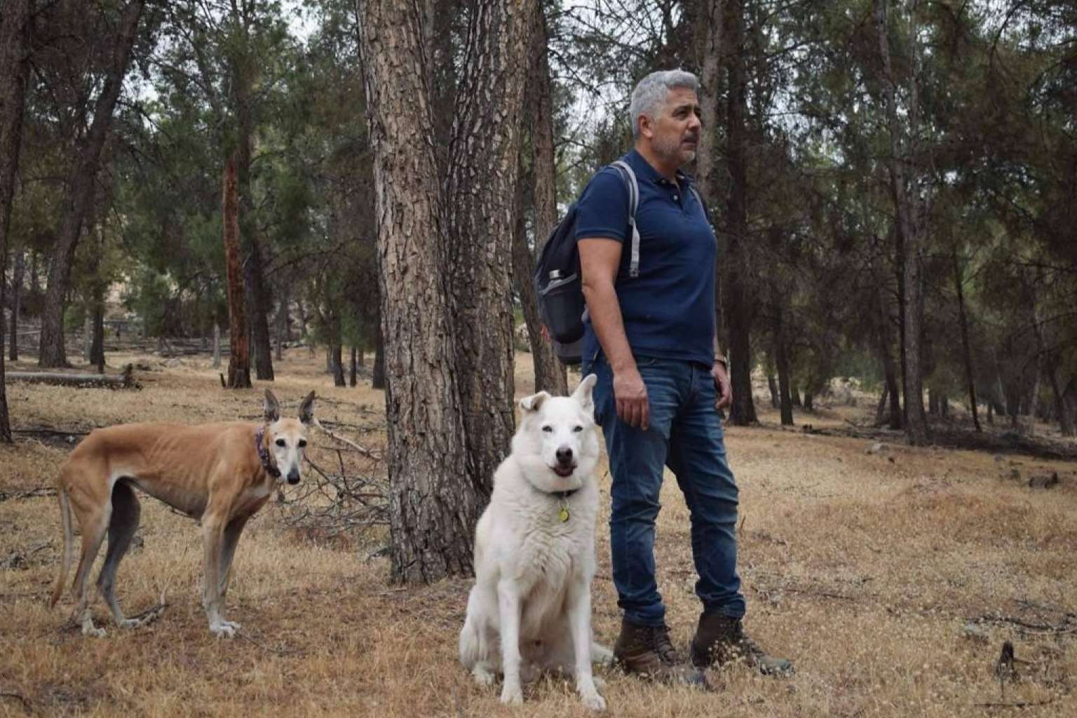 Natural Leading. La revolución en la educación canina que transforma vidas