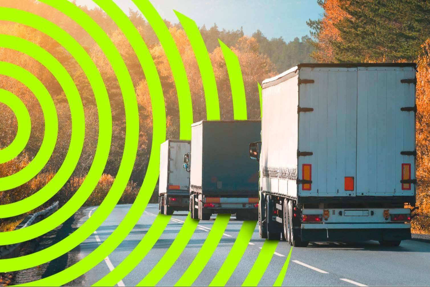 ¡Celebrar el Día Mundial del Medio Ambiente con Eccologistics!