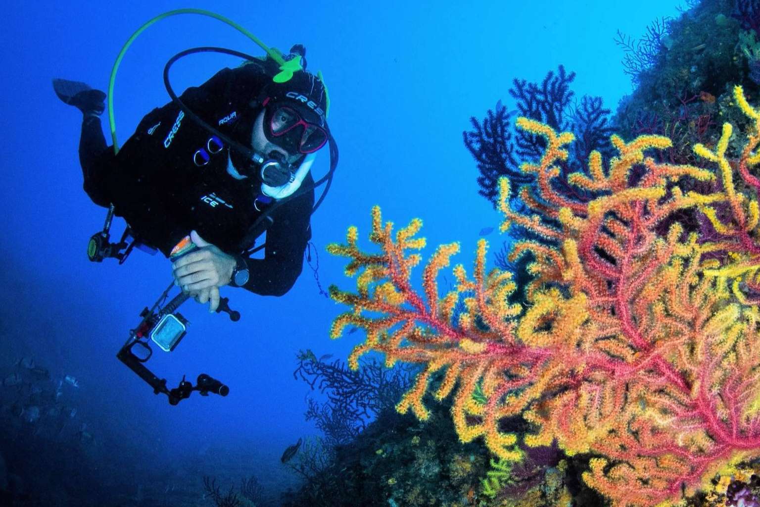Transformar una pasión en profesión, con el curso de instructor de buceo PADI de Miguel Coll