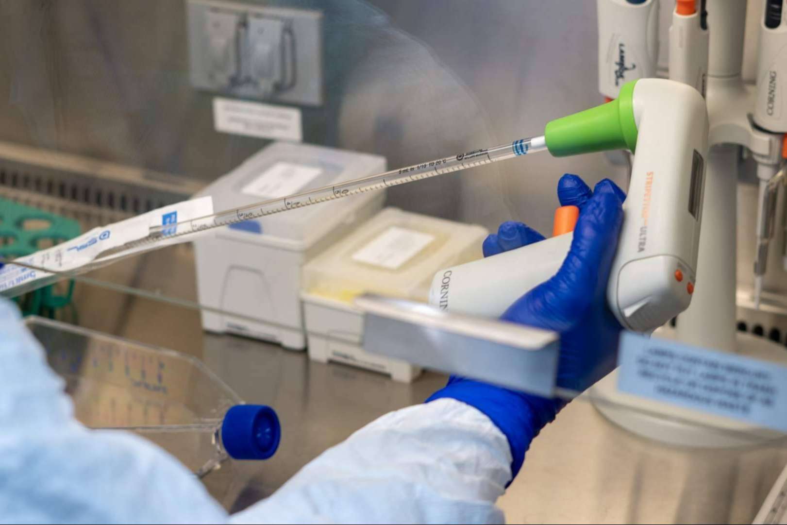 La nueva biotecnología para pacientes con cáncer en etapa 3 y 4; Inmunoterapia personalizada DEXs de Oncovix