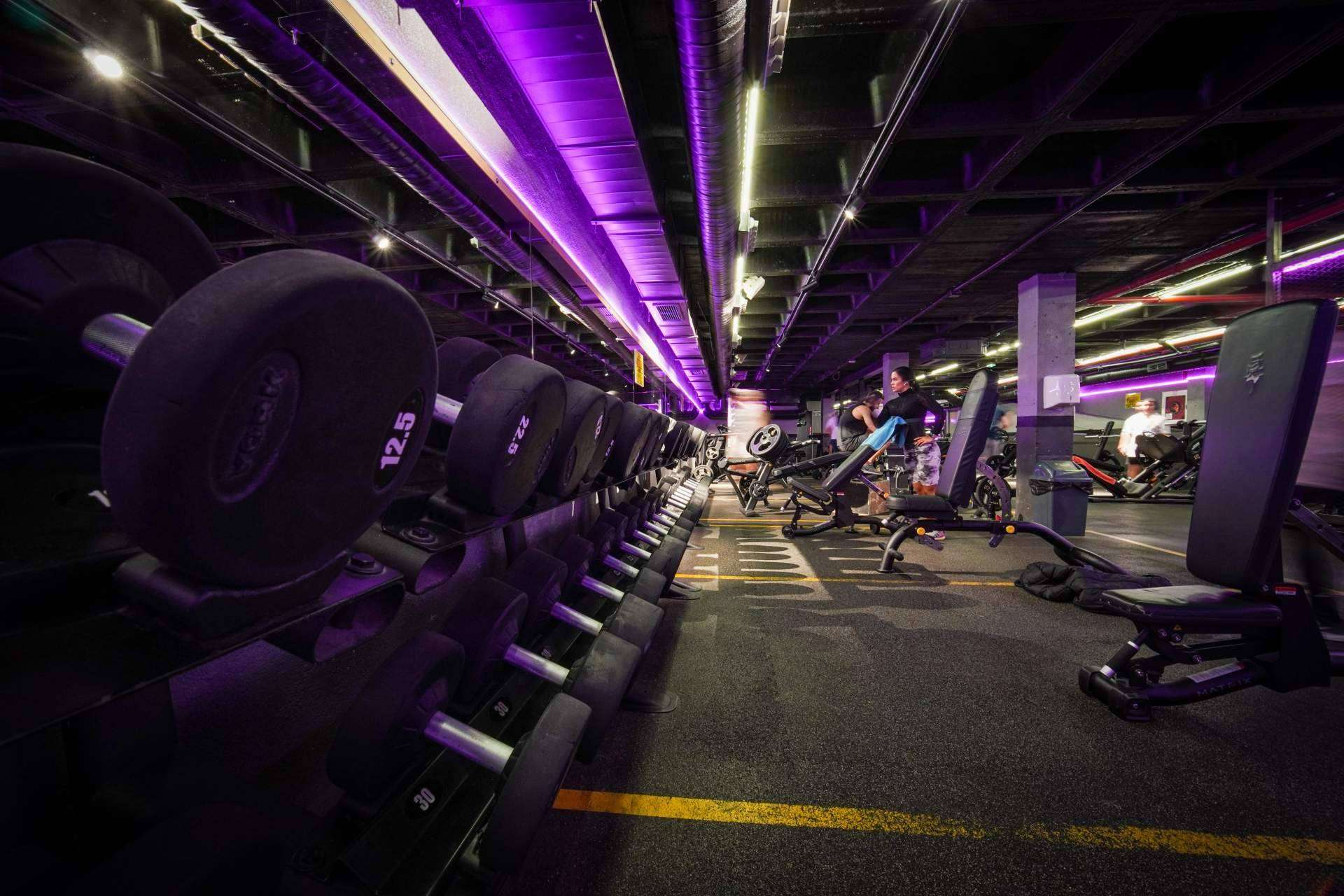 Más allá del entrenamiento; Krown Fitness, un enfoque diferente