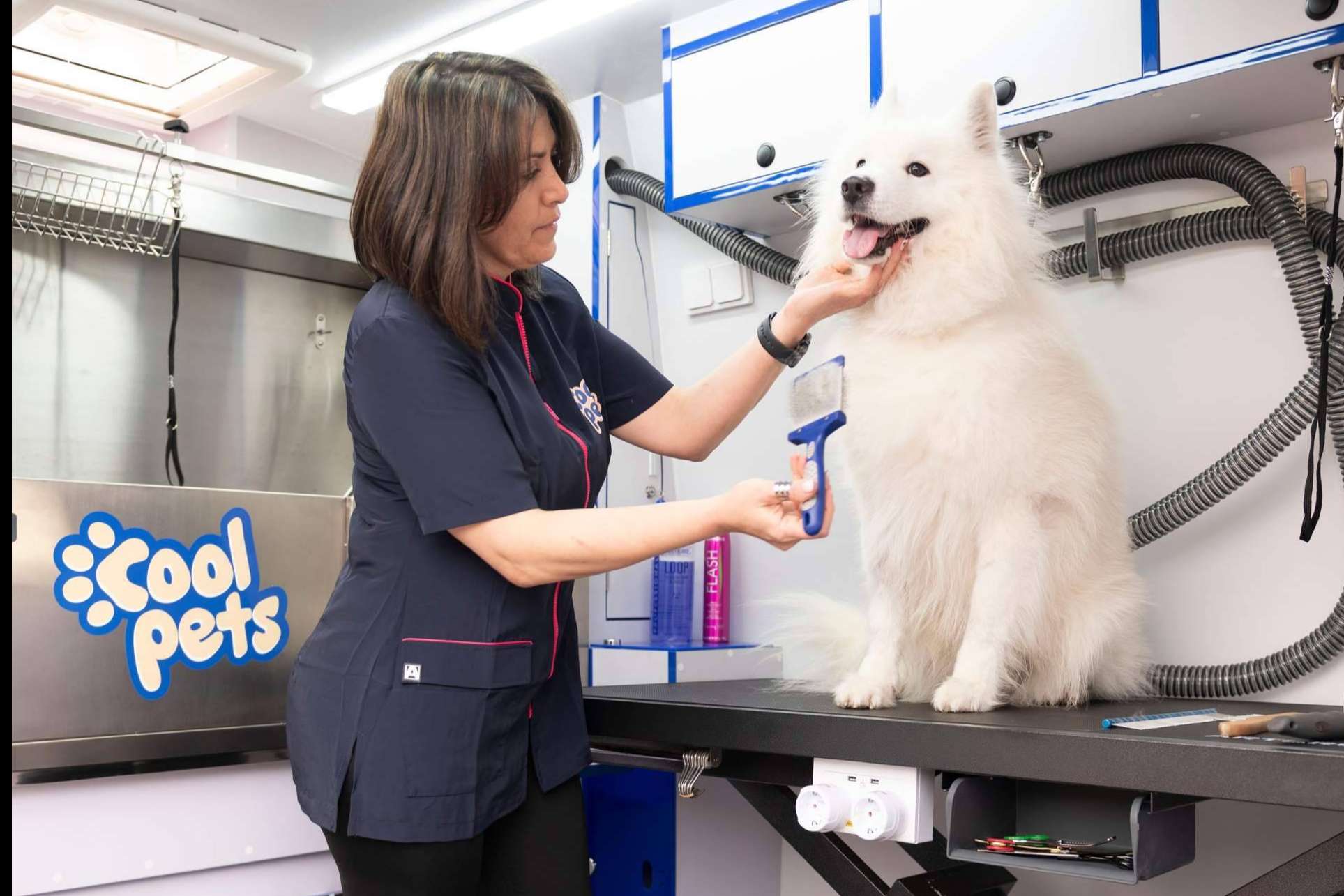 Cool Pets presenta su innovador servicio de peluquería móvil a domicilio para mascotas