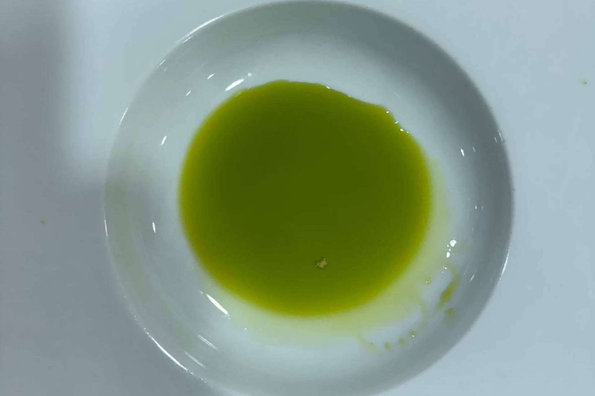 Descubriendo el arte detrás del aceite de oliva virgen extra gourmet de Tercio de las Torres