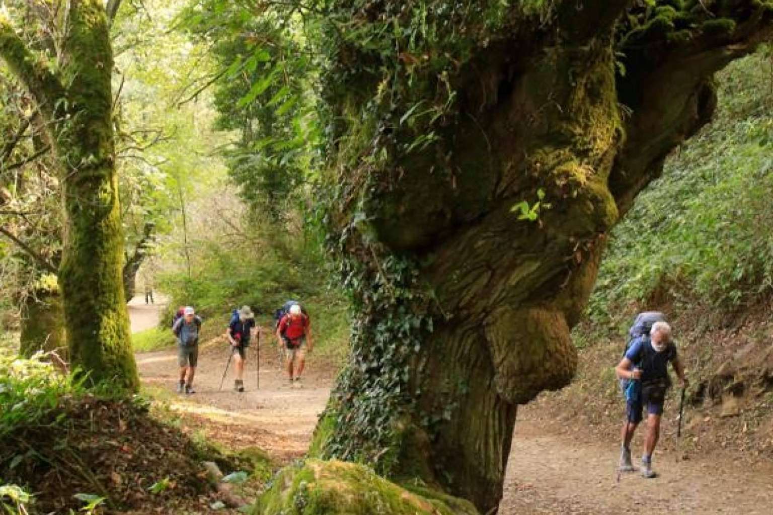 Lugares soñados para disfrutar del turismo activo
