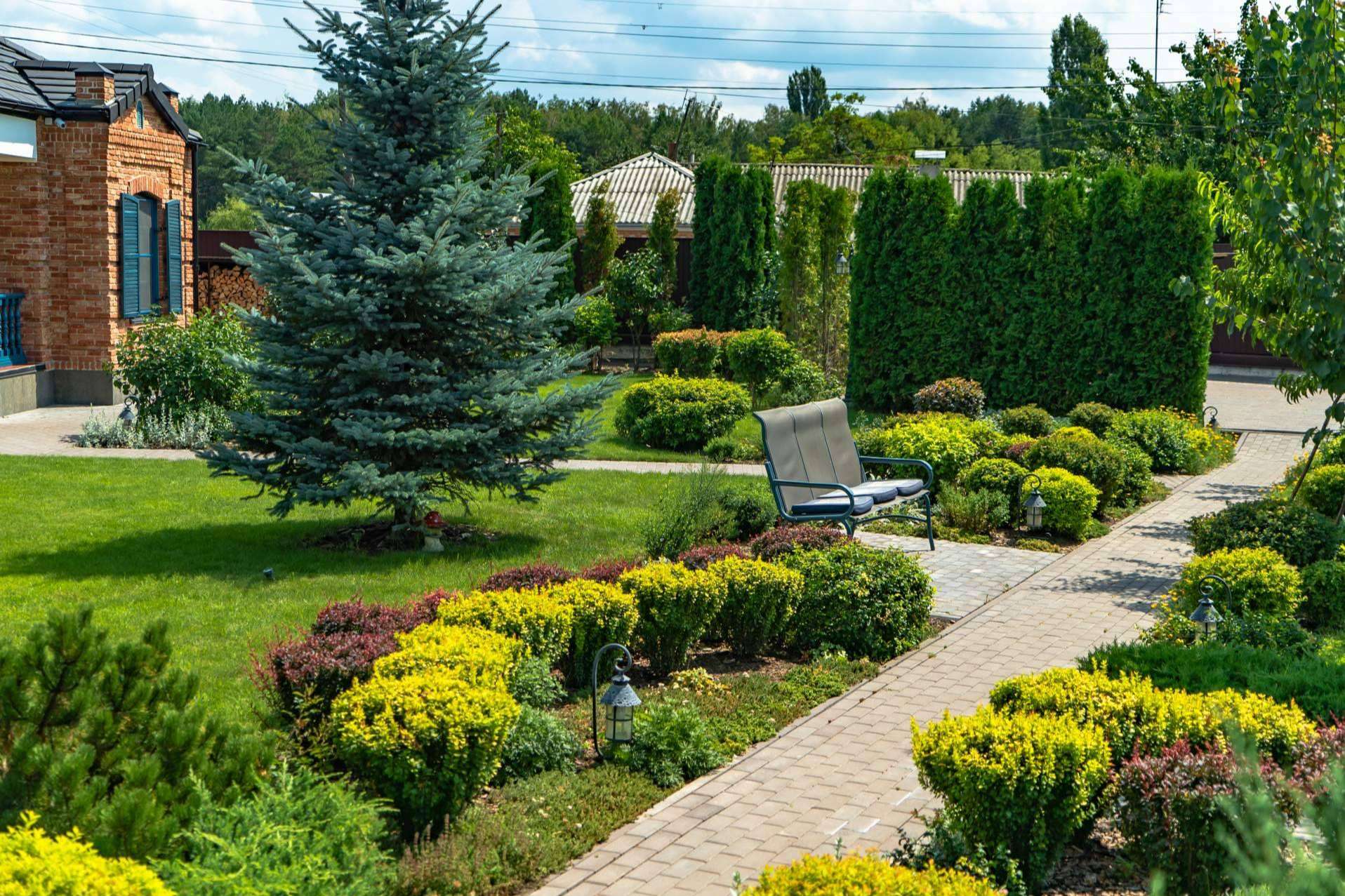 Cuidado y belleza todo el año; La importancia del mantenimiento de jardines en diferentes espacios