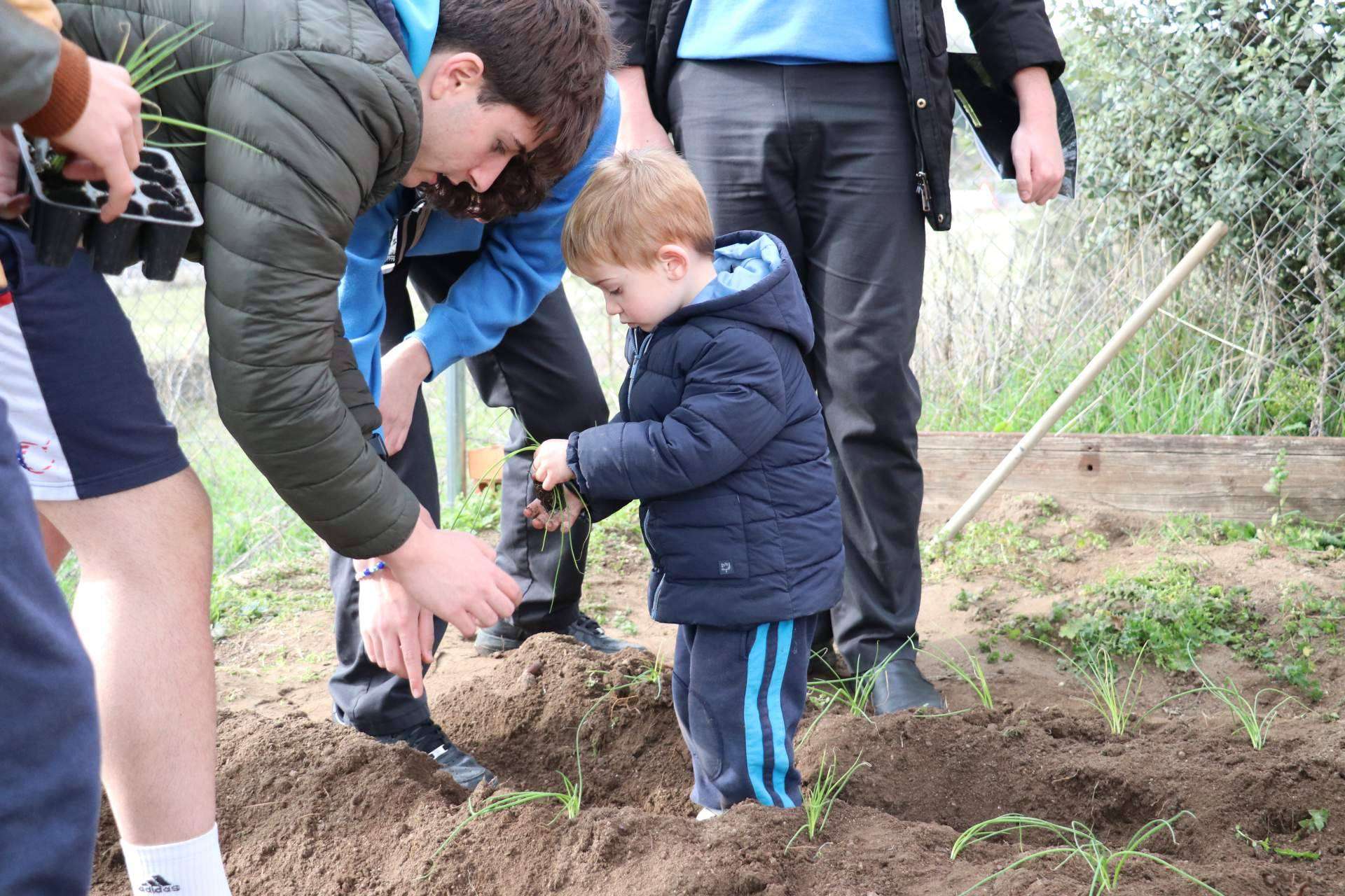 Una dieta equilibrada puede cambiar su rendimiento académico y el estado de ánimo de un hijo