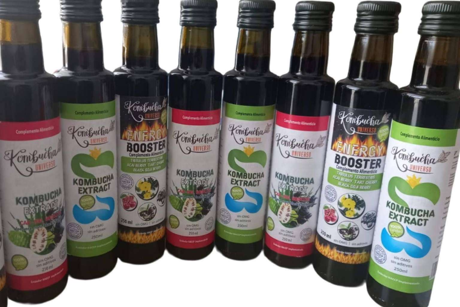 Kombucha Universo revoluciona el mercado con sus exclusivos extractos de Kombucha de fermentación prolongada
