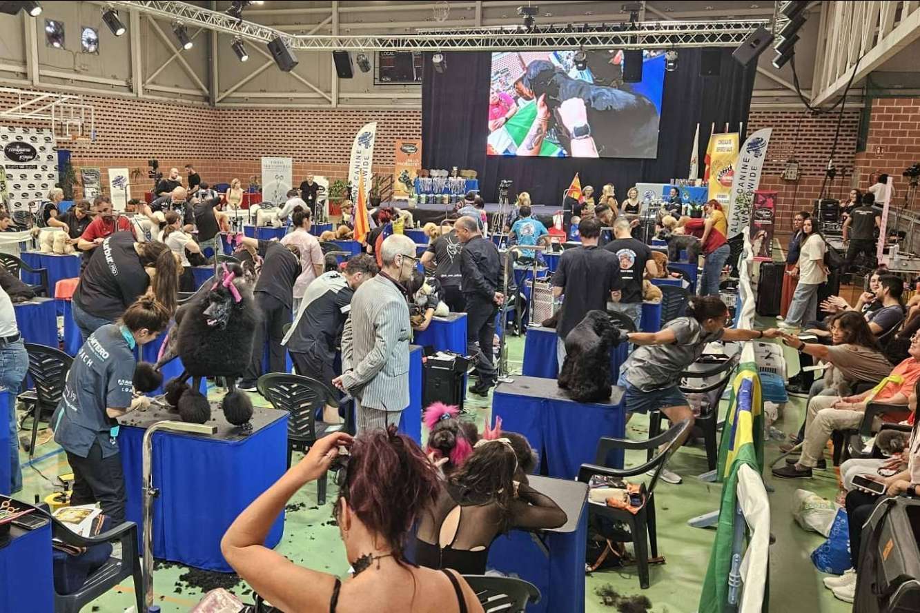 El arte del estilismo canino mundial llega a Murcia en octubre
