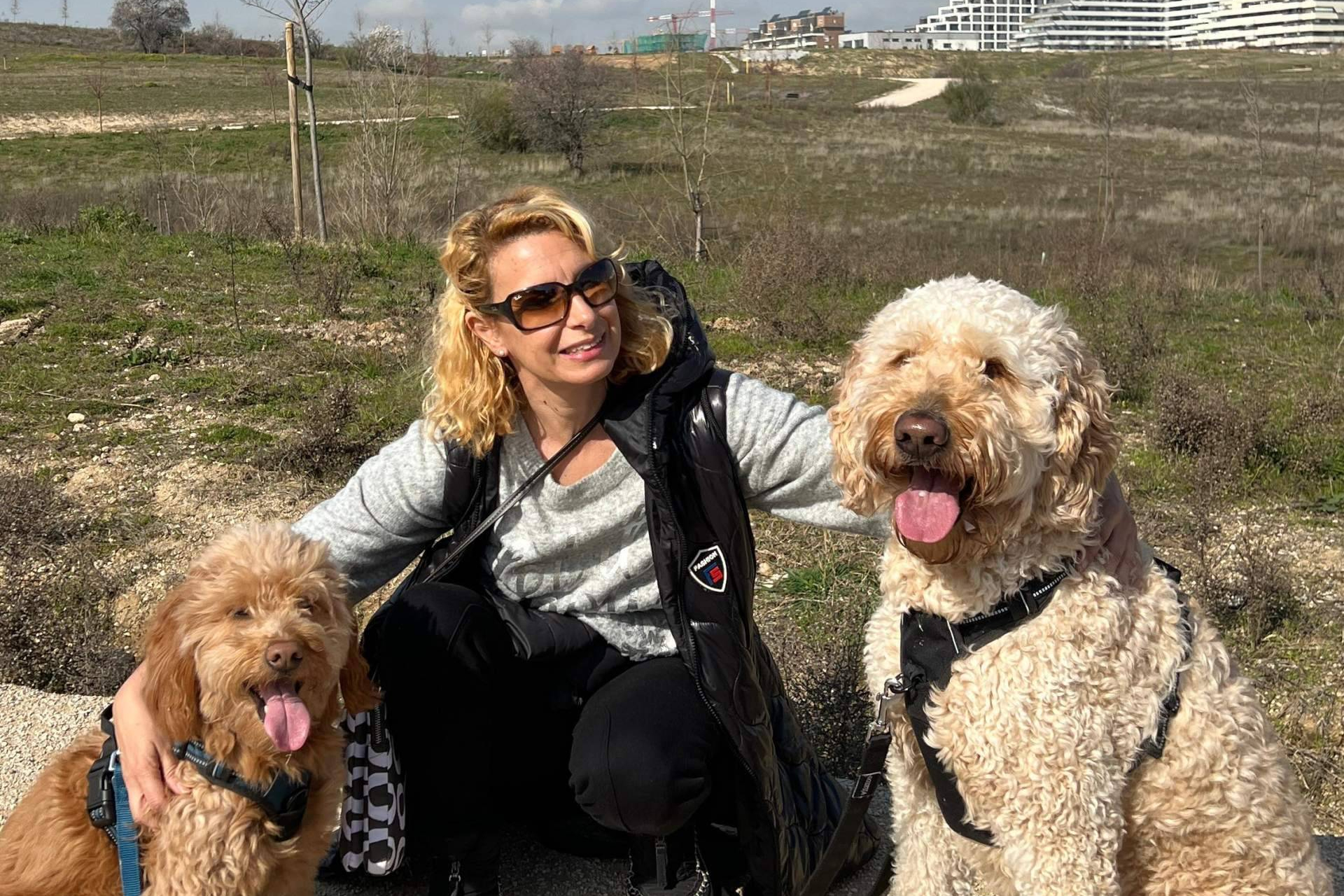 Pasear con el perro sin tirones; un objetivo posible