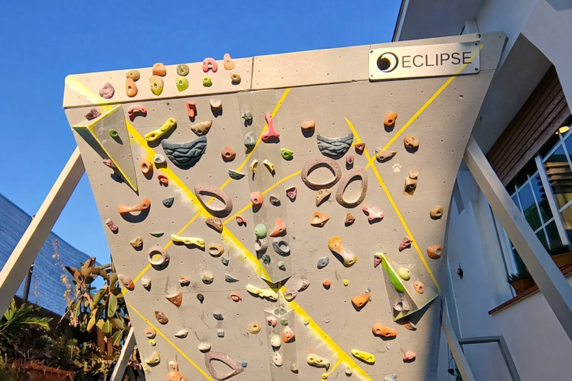 Escalada en casa; cuando el gimnasio es una pared y el reto cambia cada semana