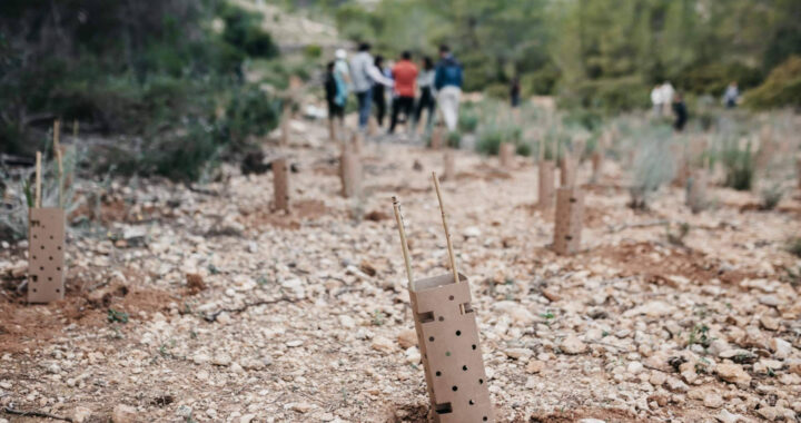Bosquia impulsa nuevas reforestaciones en Madrid junto a empresas y ciudadanía por el Día de los Bosques