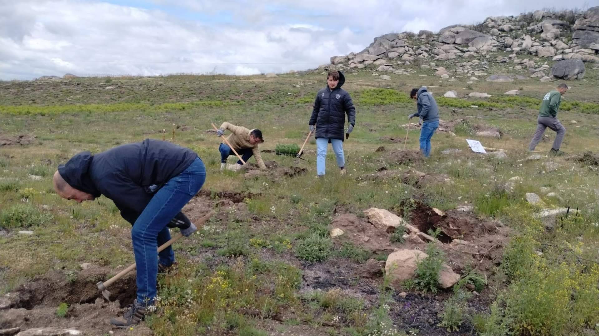 De cenizas a un nuevo bosque, FOXY, Fundación Alcoraz y CO2 GESTIÓN plantan árboles en Verín, Galicia