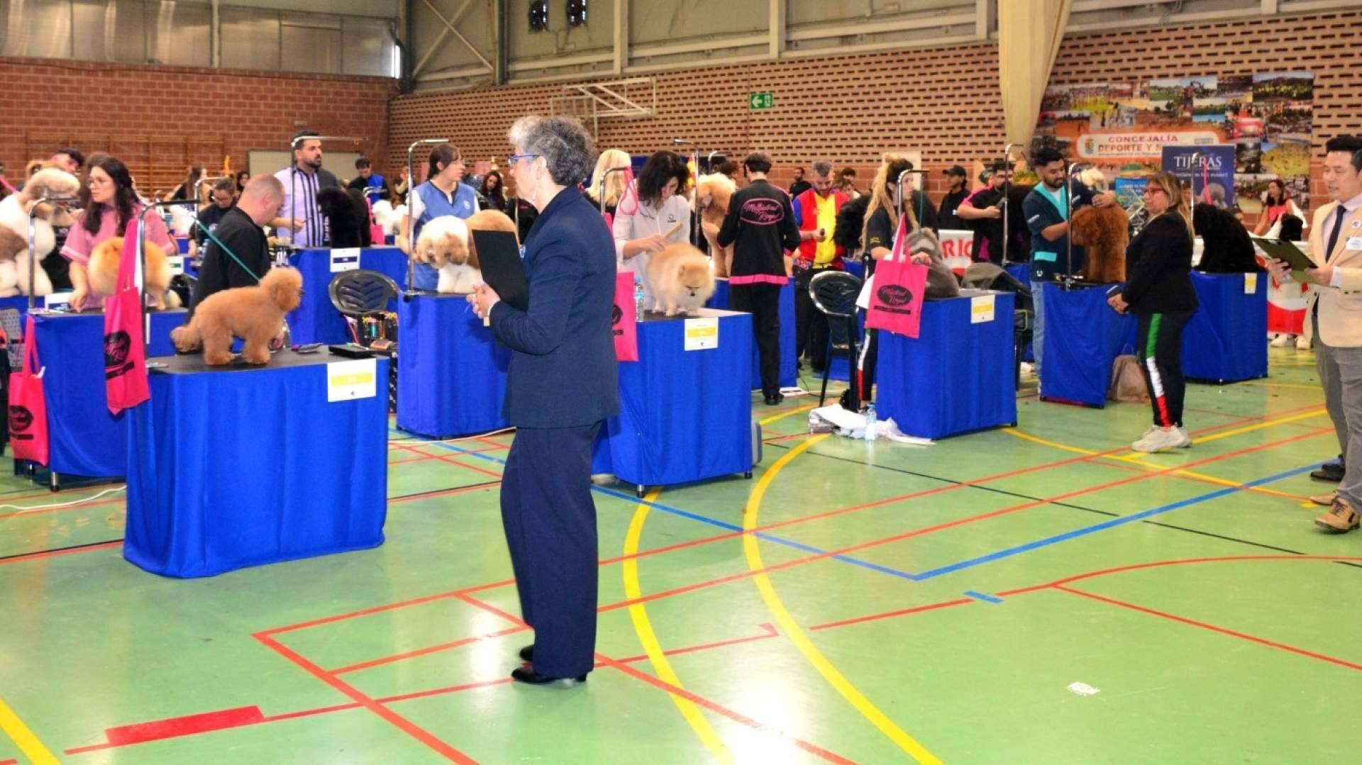Murcia acoge el Campeonato Mundial de Peluquería Canina; profesionales de más de 30 países se disputarán