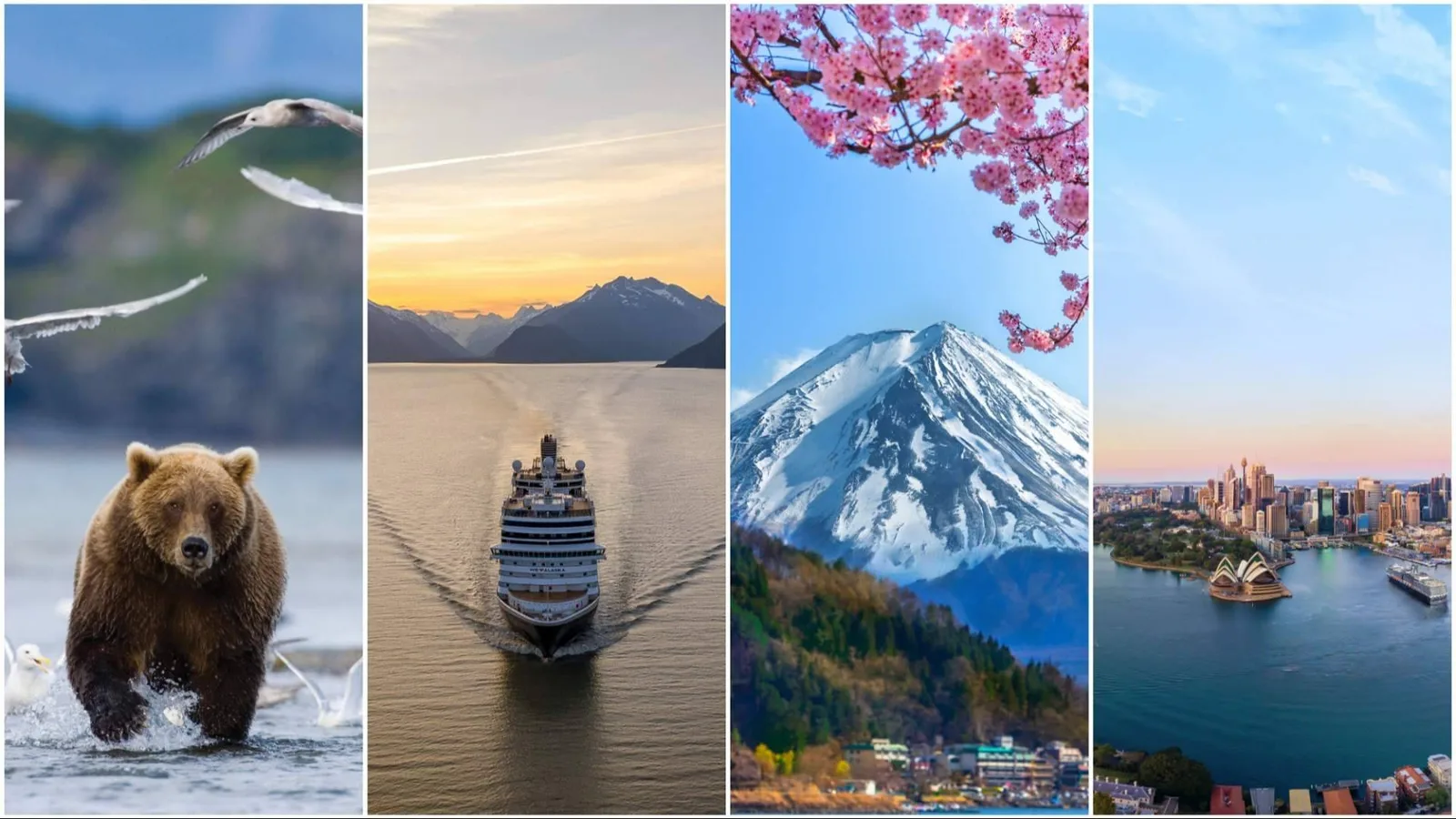 Un Mundo de Cruceros presenta sus viajes en crucero con guía en español para 2027 y 2028