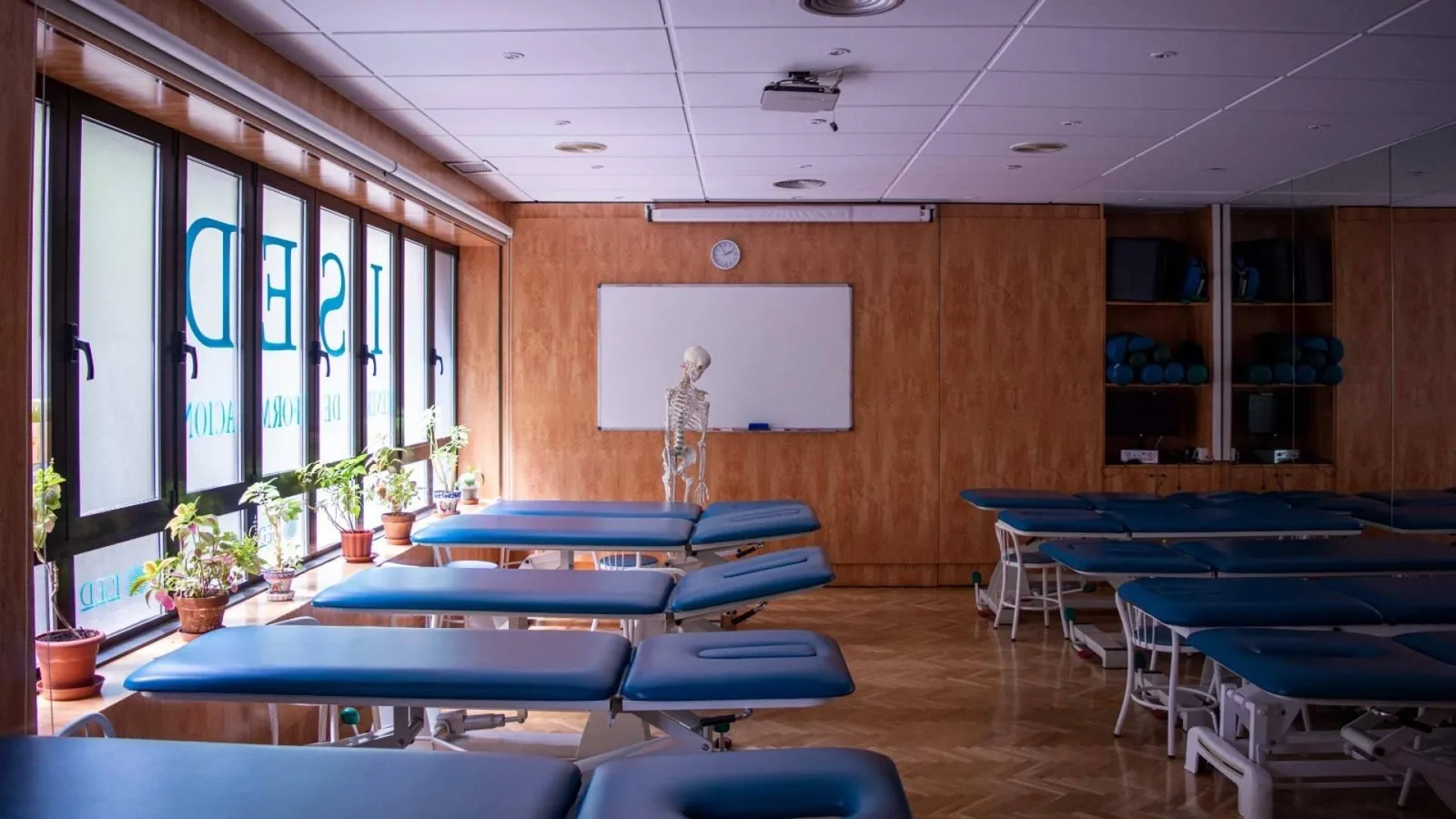 ISED Expert presenta un Máster en Nutrición, Deporte y Salud con modalidad presencial y HomeClass